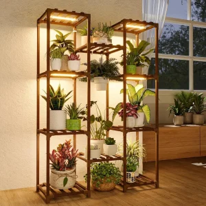 Plant Holder for Home Gardening